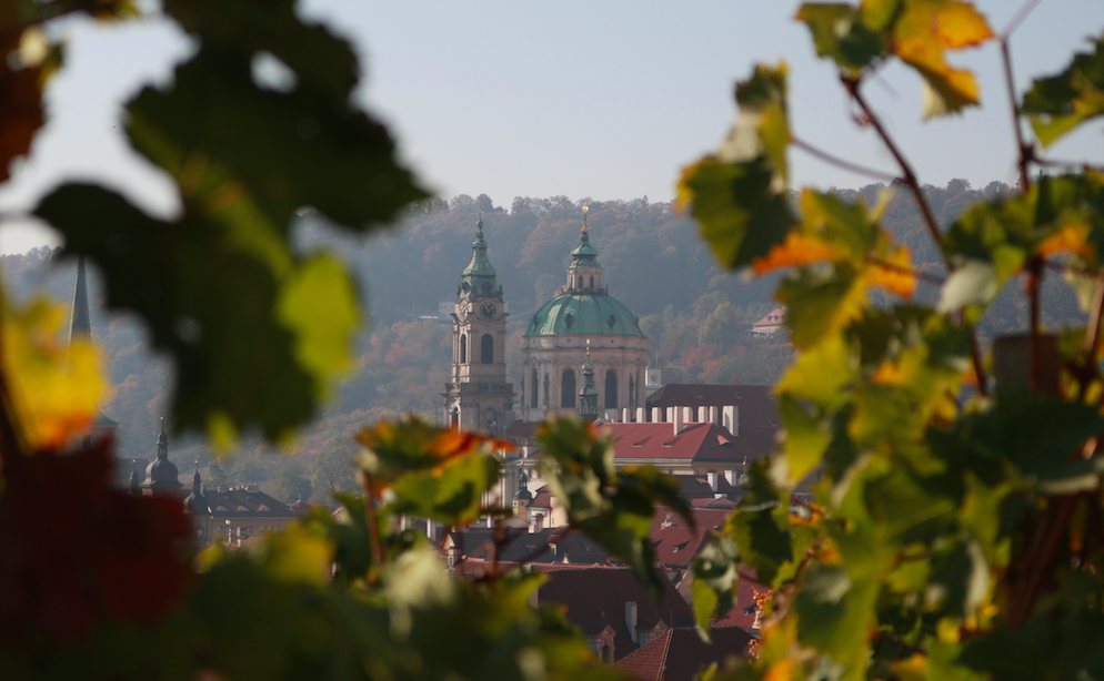 prague cathedral with trees