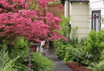 Vignette Garden gallery