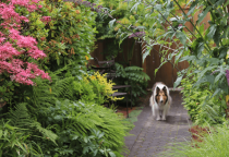 Vignette Garden gallery