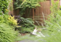 Vignette Garden gallery