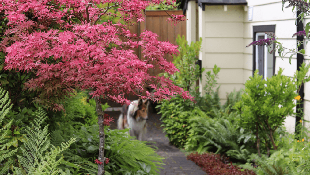 Vignette Garden gallery