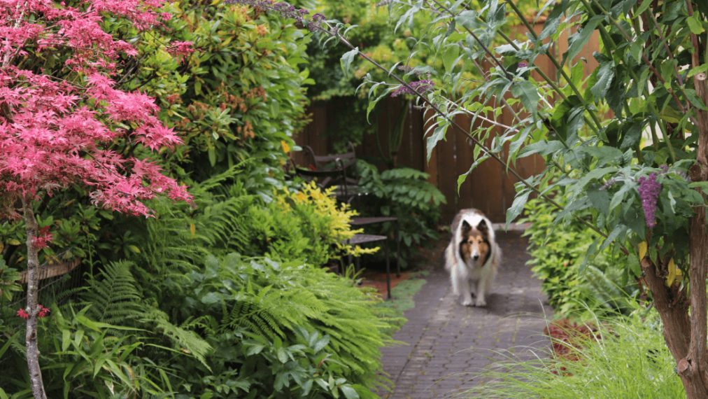 Vignette Garden gallery