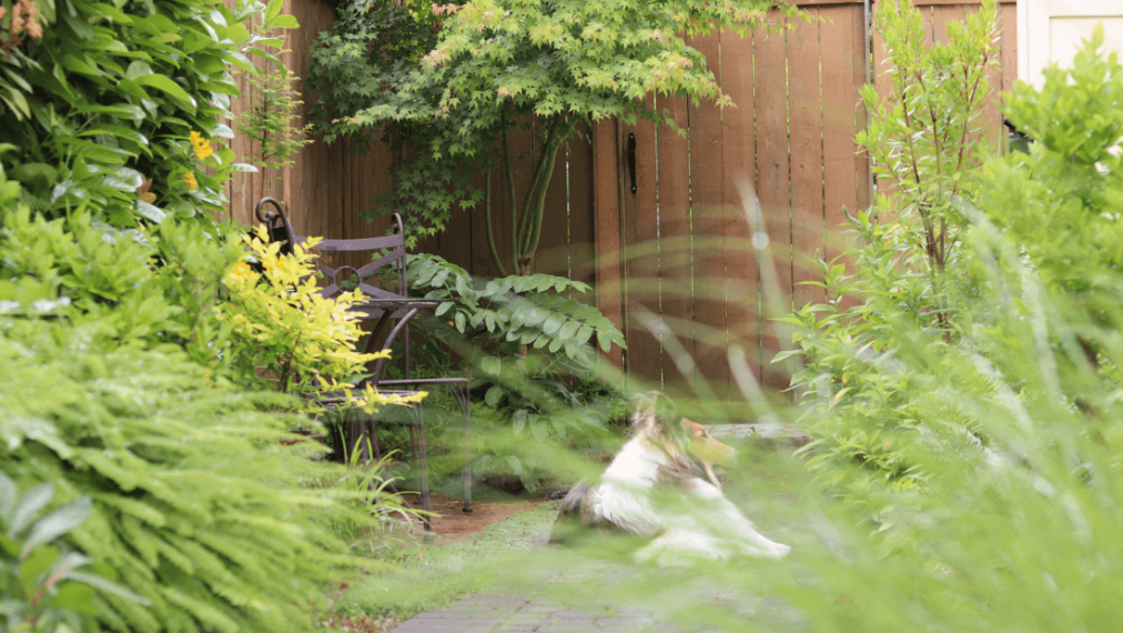 Vignette Garden gallery