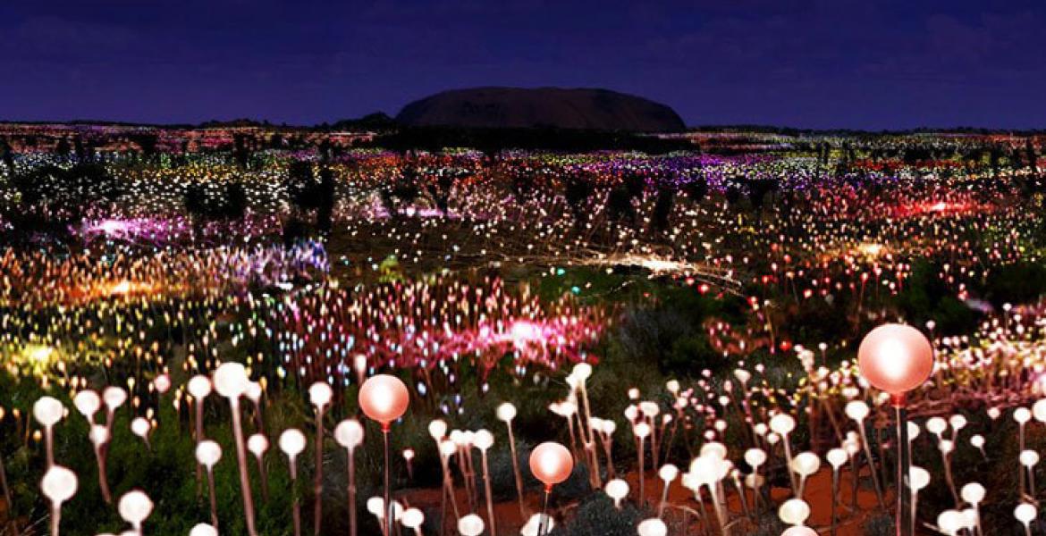 bruce munro lights