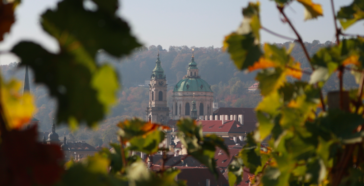 prague cathedral with trees