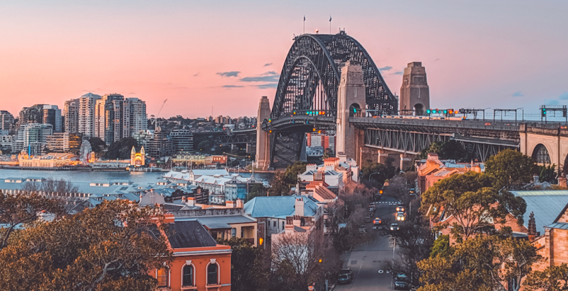 sydney trees