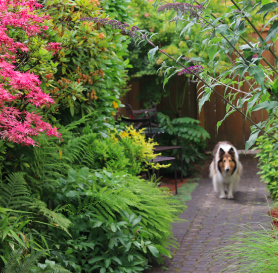 Vignette garden